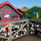 Le pont des rêves :-)