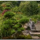 Le pont du paradis - La Foltière