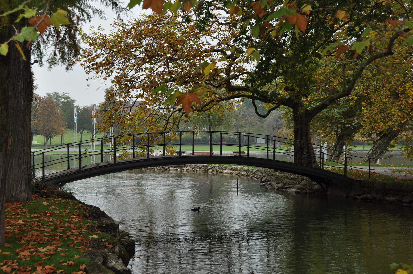 Le pont en automne!