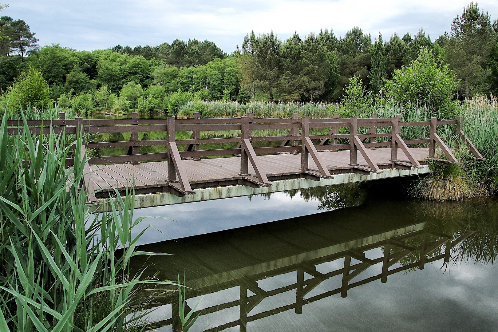 le pont en bois !