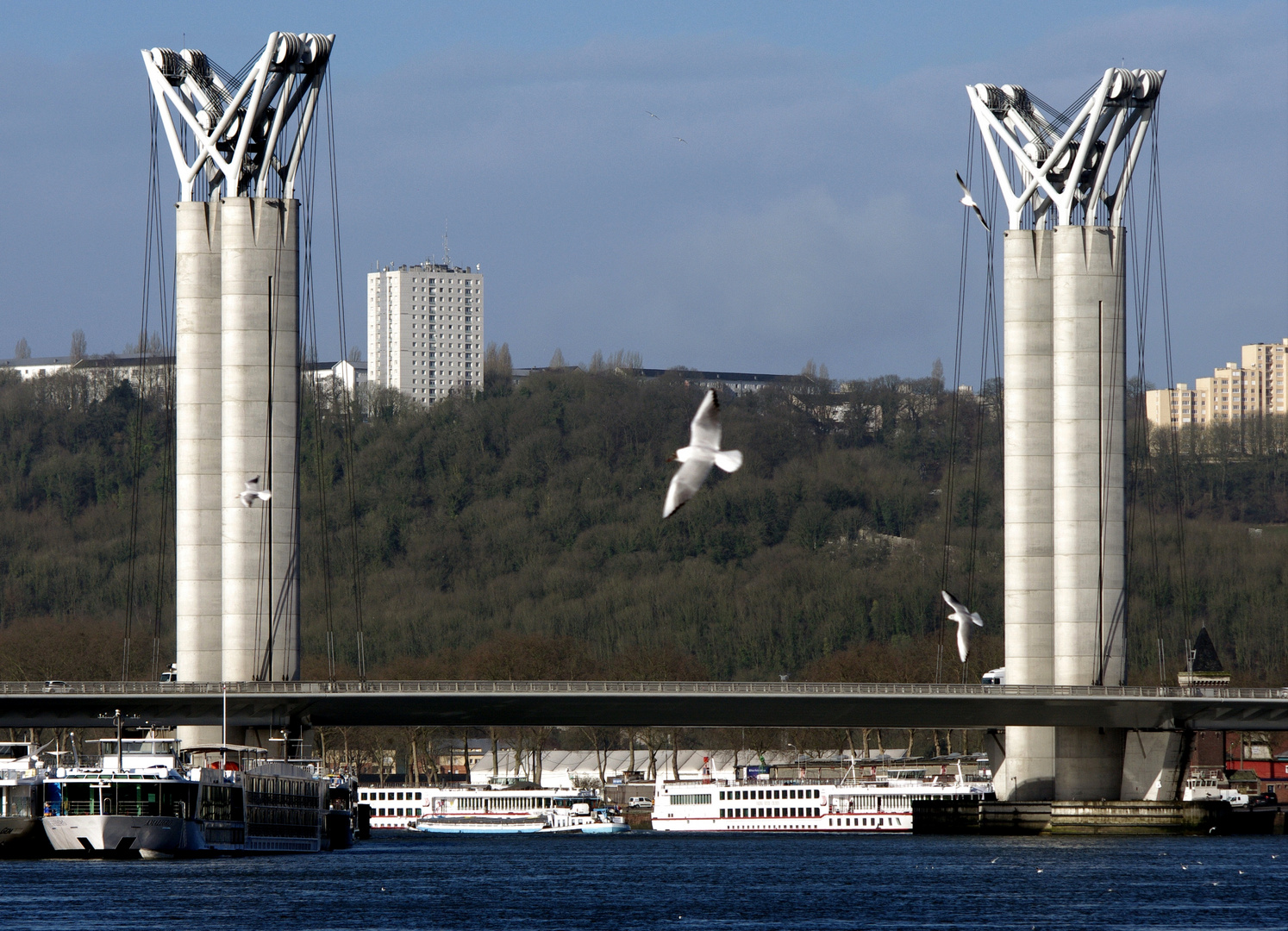 le pont Flaubert 