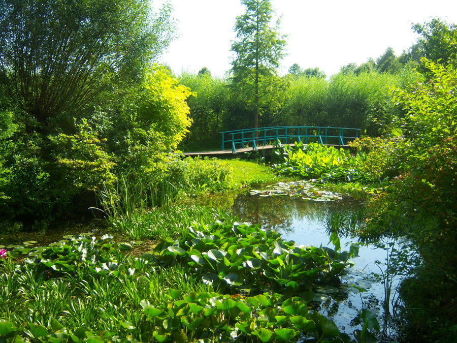 " Le pont Japonais " de Claude Monet