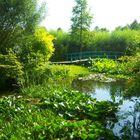 " Le pont Japonais " de Claude Monet