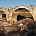 LE PONT JULIEN