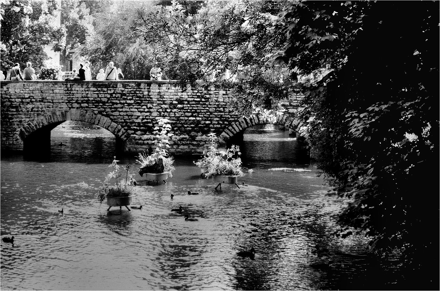 le pont pour les autres