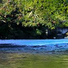 LE PONT SOUS LES ARBRES