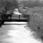 Le pont sur la glace.