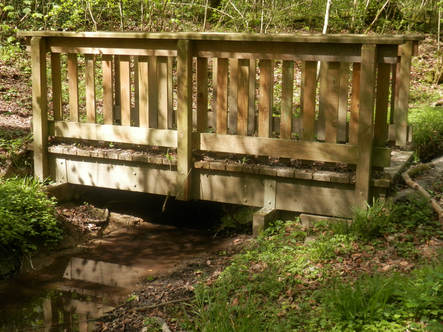 Le pont sur la Pichelotte