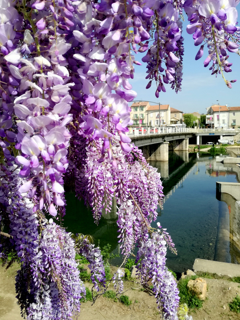 Le pont Vieux - Alès