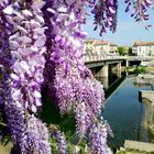 Le pont Vieux - Alès