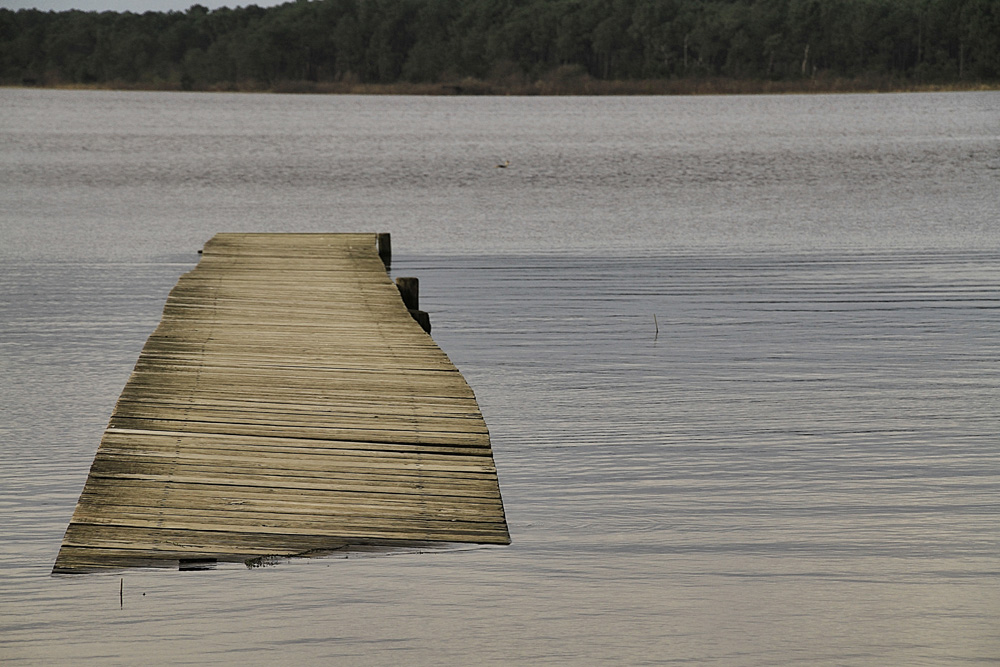 le ponton dans l'eau !