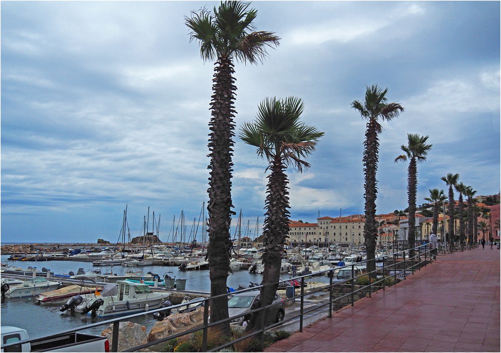 Le port de Banyuls-sur-mer