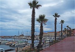 Le port de Banyuls-sur-mer