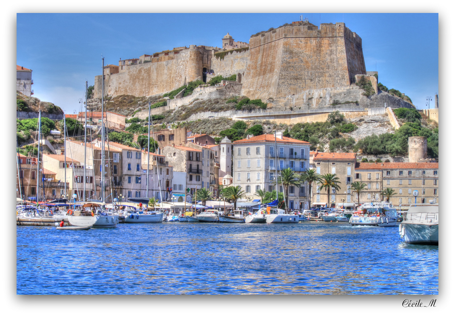 Le port de Bonifacio