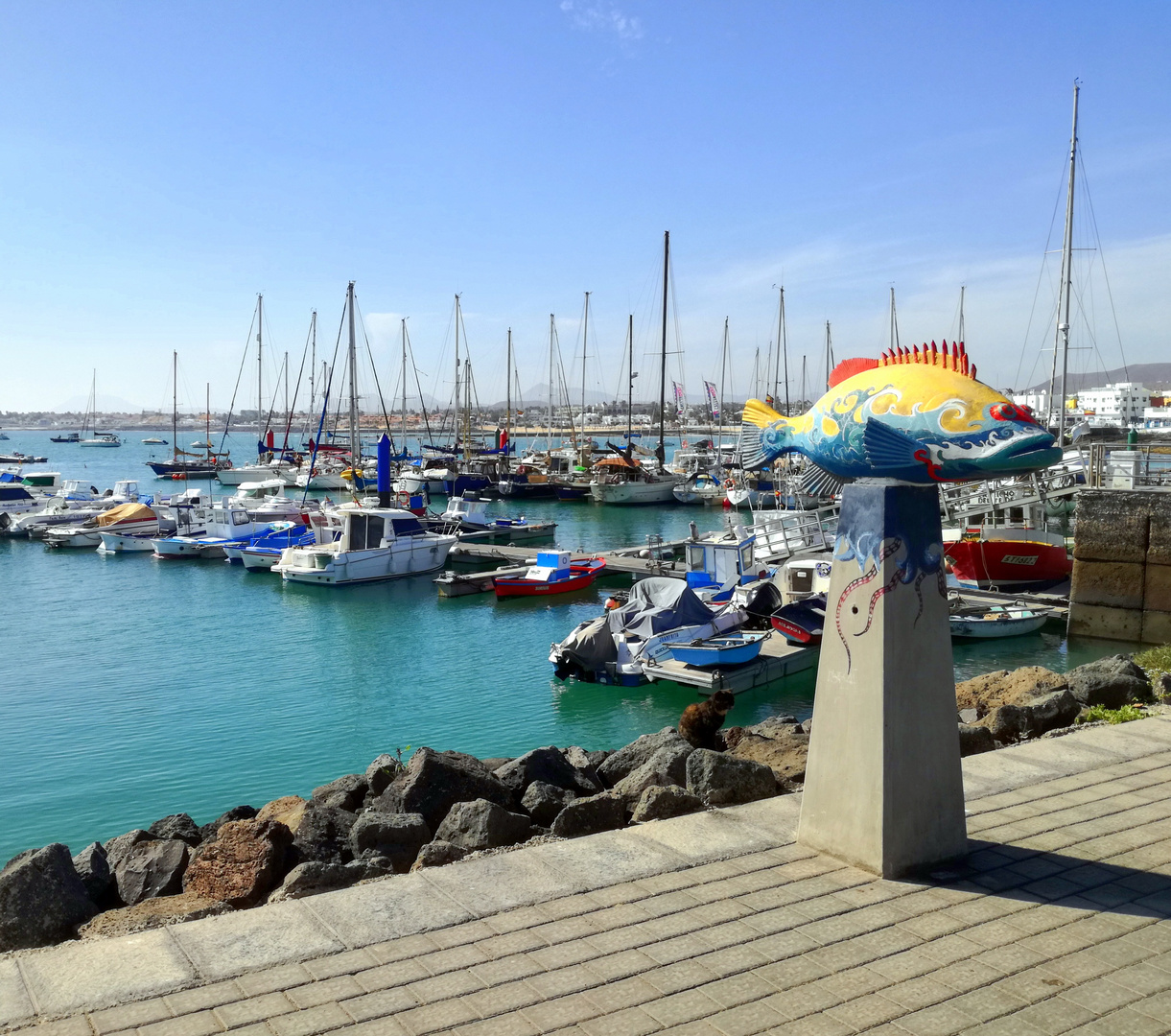 Le port de Corralejo, Fuerteventura