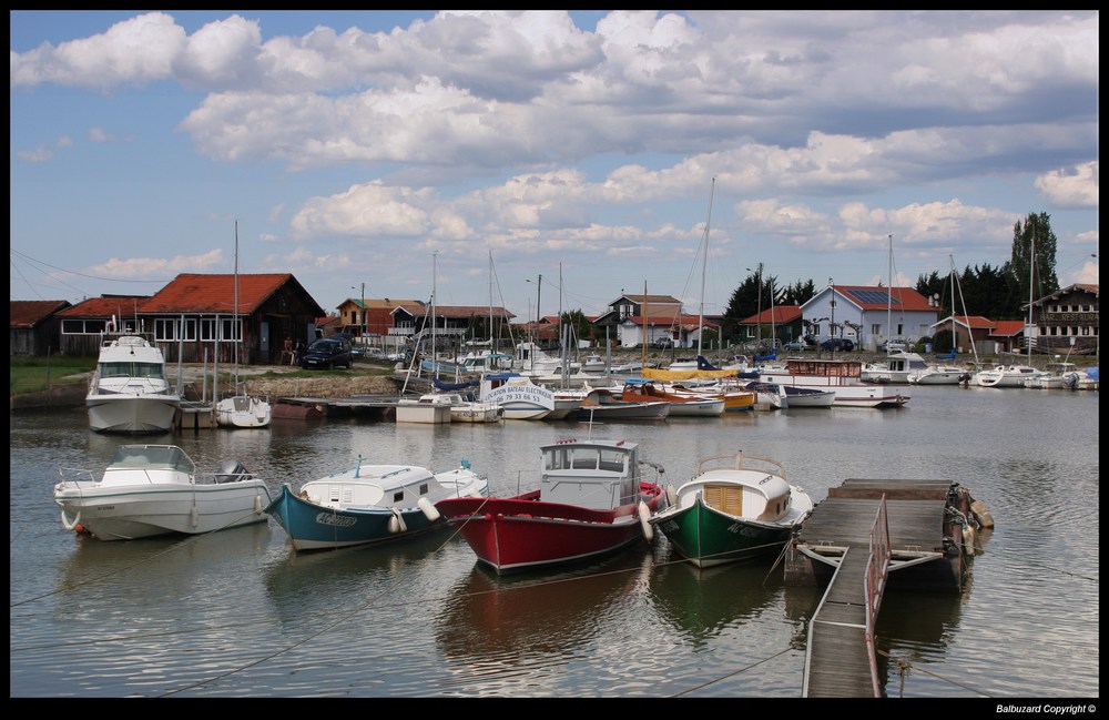 " Le port de la Teste "