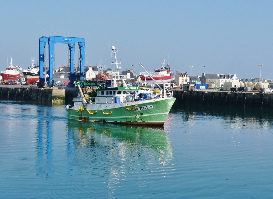 Le port de Pêche à Guilvinec (Finistère) photo et image paysages, mers et océans, nature