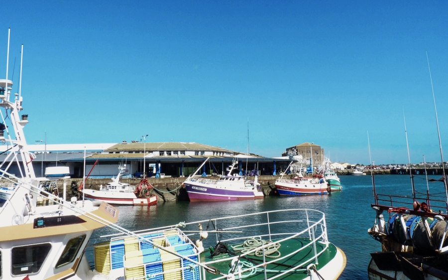 Le port de pêche au rezpos