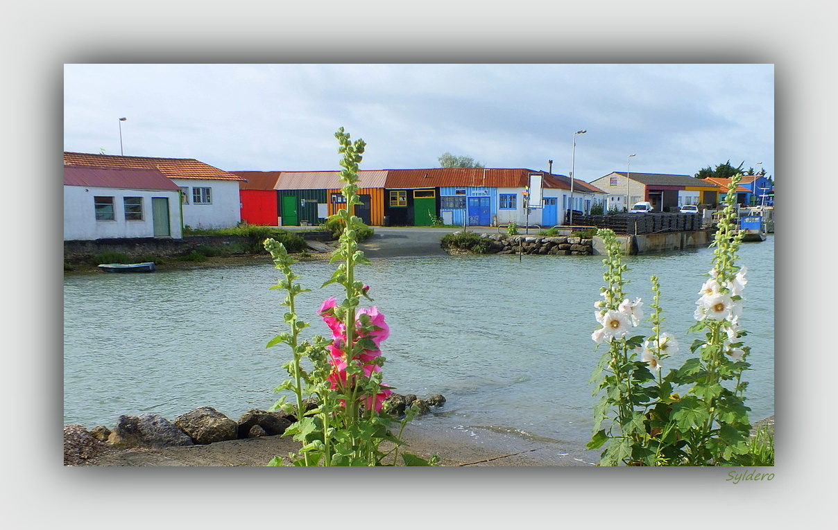 Le port en couleurs