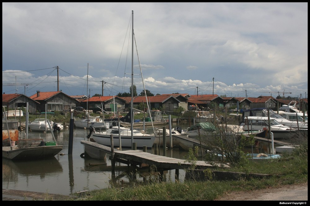 " Le port ostréicole de la Test de Buch "