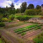 Le potager au pied du château 