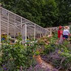 Le potager de Caillebotte