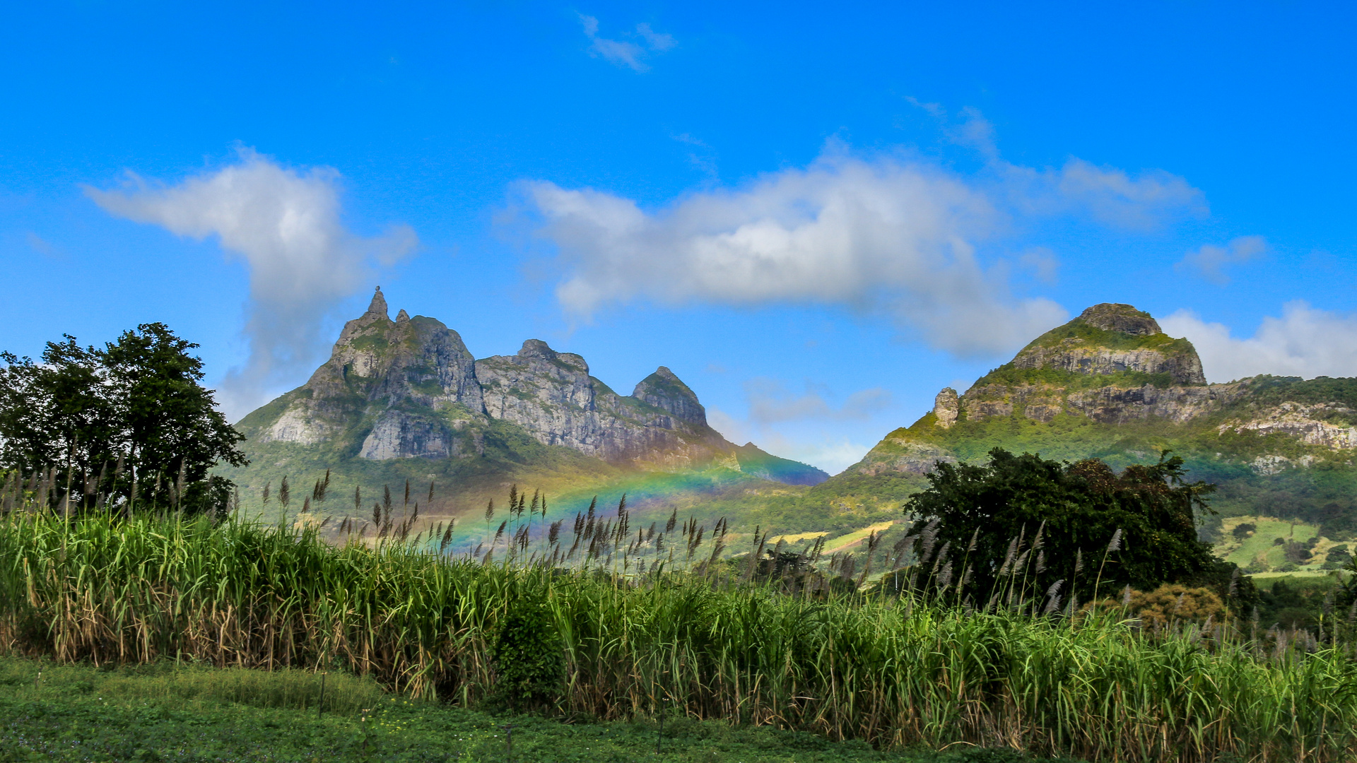  Le Pouce  1 Mauritius Foto Bild world natur 