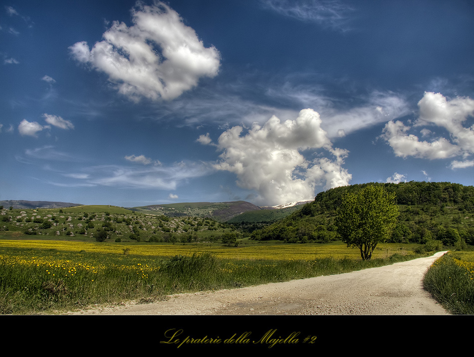 Le praterie della Majella #2