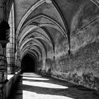 Le premier cloître