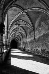 Le premier cloître