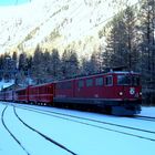 Le première neige / Der erste Schnee / La primera nieve..01