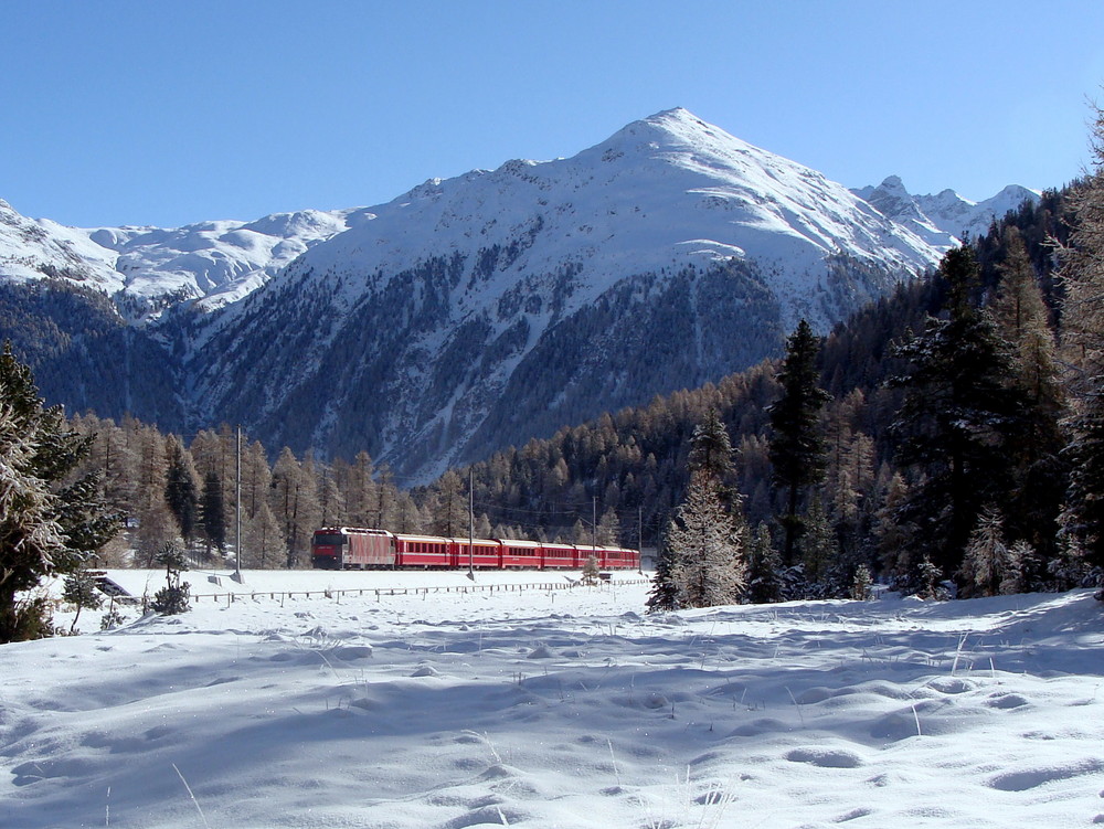 Le première neige / Der erste Schnee / La primera nieve..02