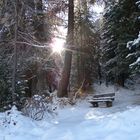Le première neige / Der erste Schnee / La primera nieve..03