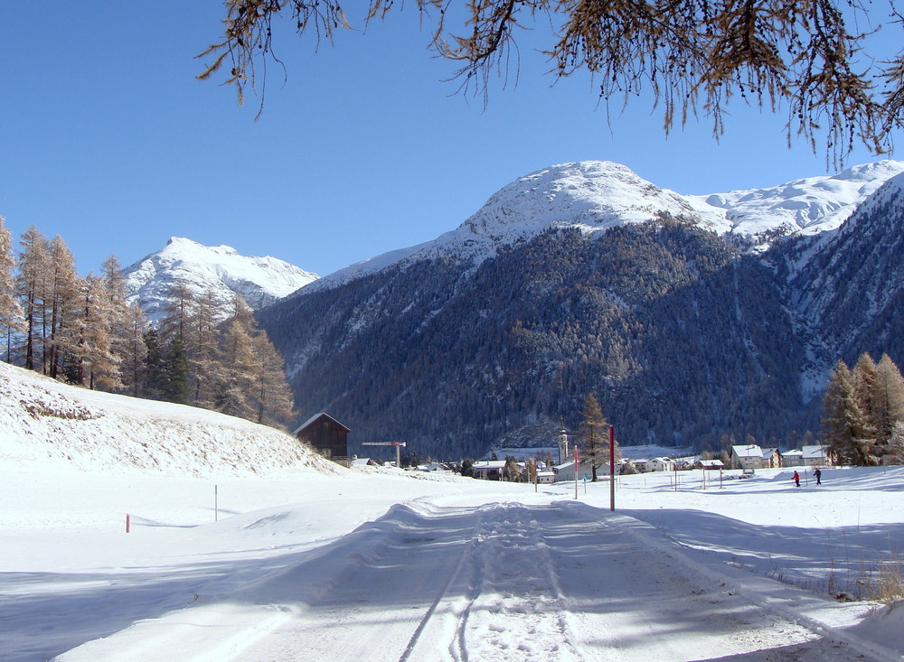 Le première neige / Der erste Schnee / La primera nieve..04