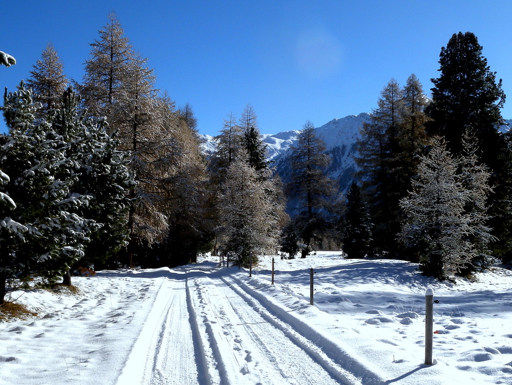 Le première neige / Der erste Schnee / La primera nieve..05