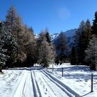 Le première neige / Der erste Schnee / La primera nieve..05