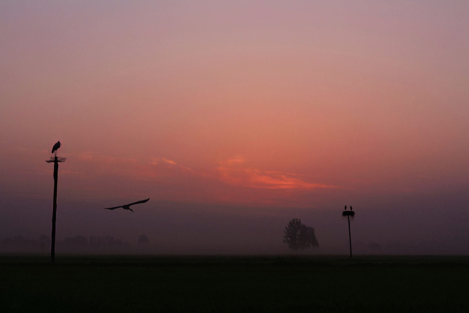 le prime luci dell'alba