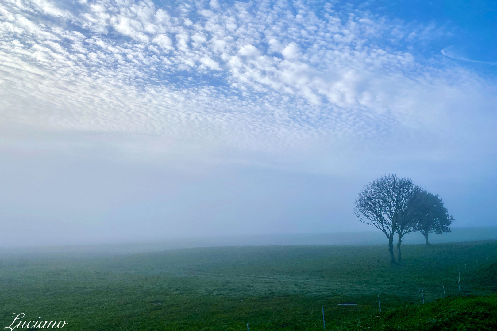 le prime ore del mattino