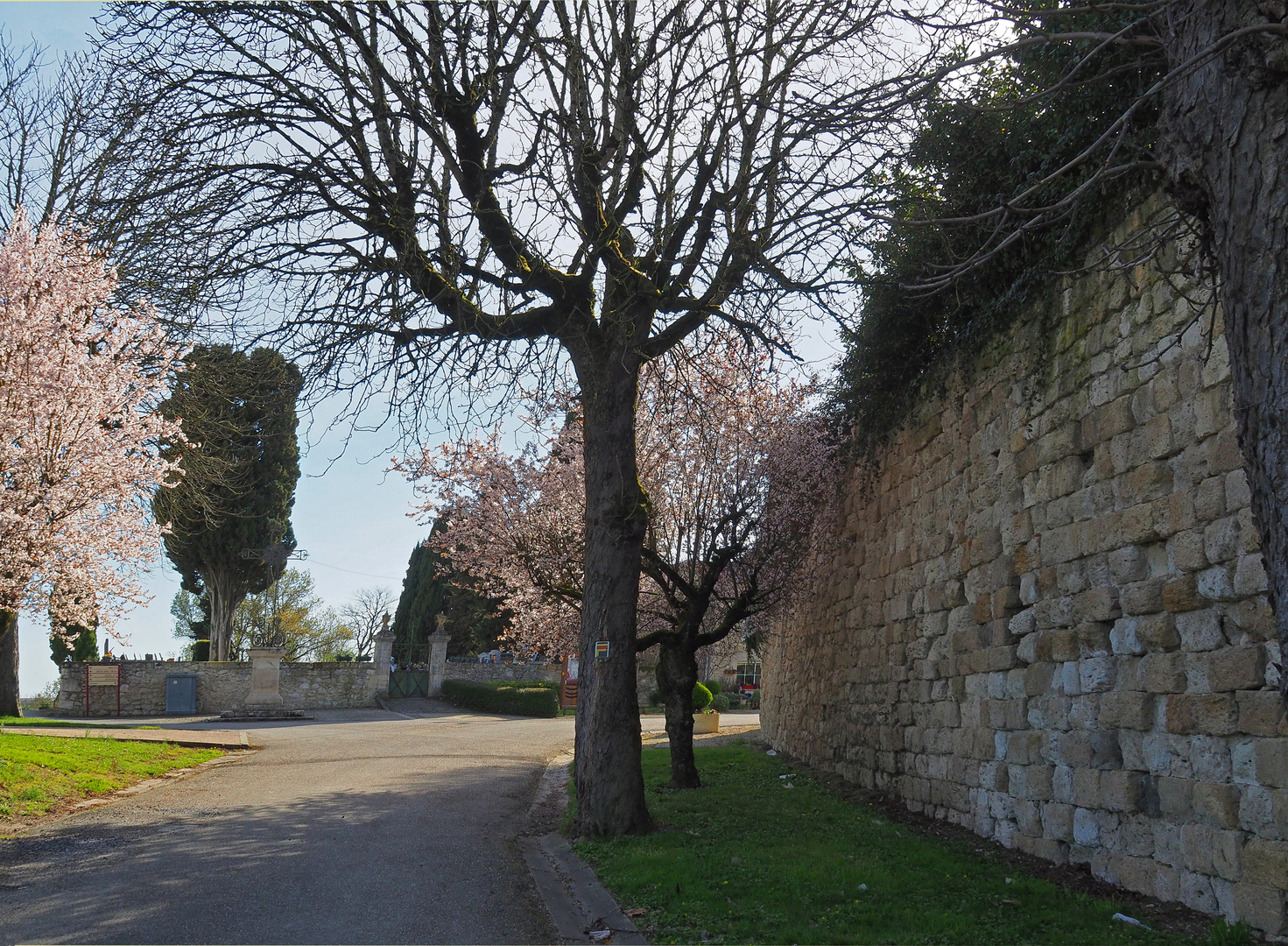 Le printemps à Gazaupouy