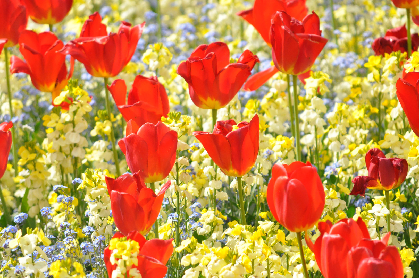 Le printemps à Londres!