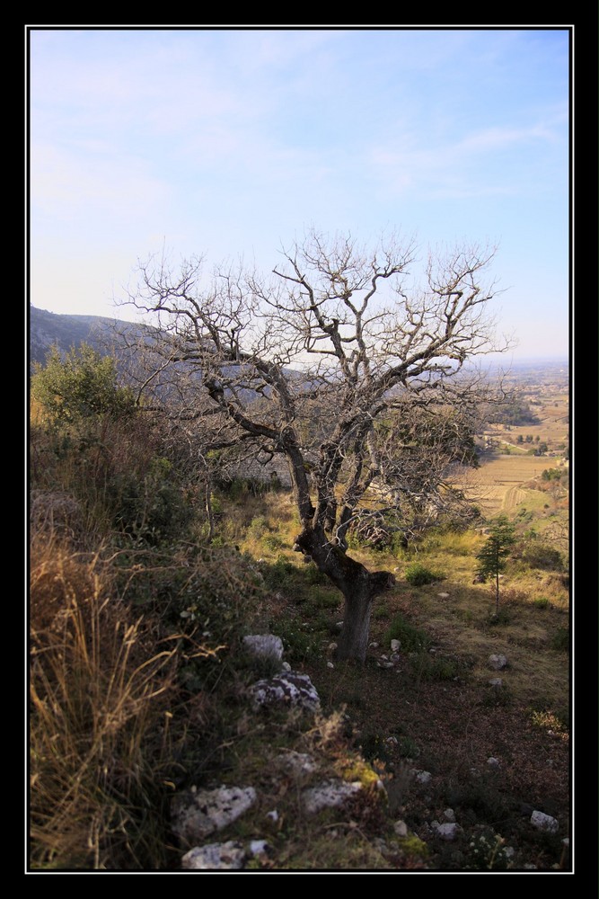 le printemps approche....mais il vient si doucement...