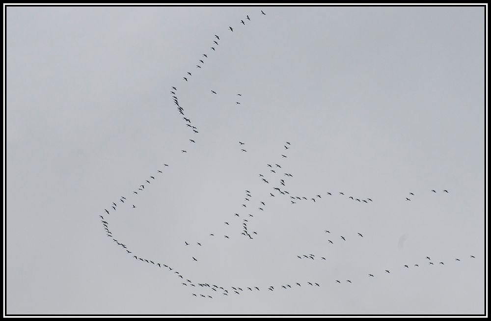 Le printemps arrive, c'est écrit dans le ciel