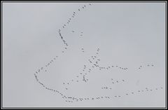 Le printemps arrive, c'est écrit dans le ciel