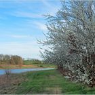 Le printemps au lac du Bousquetarra