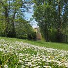 Le printemps au Moulin de Gauge à Condom