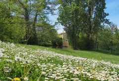 Le printemps au Moulin de Gauge à Condom