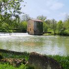 Le printemps au Moulin de Gauge sur la Baïse