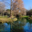 Le Printemps au parc