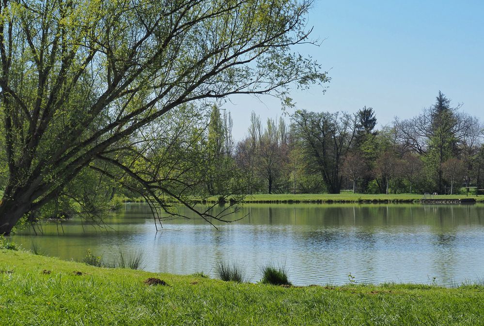 Le printemps au parc de Gauge