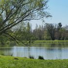 Le printemps au parc de Gauge